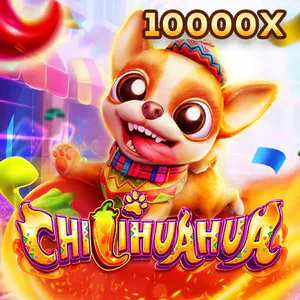 Phá Tài Chihuahua